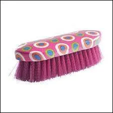 Quel est cet outil de pansage ?