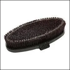 Quel est cet outil de pansage ?