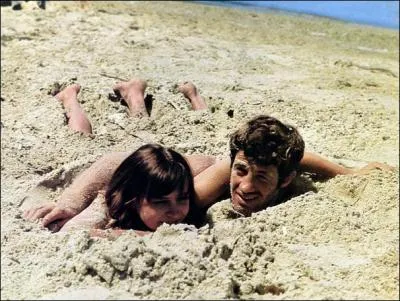 En quelle couleur s'est peint Pierrot le fou avant de se faire sauter  la dynamite.