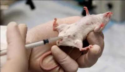 Claude Bernard est un mdecin et physiologiste franais qui eut droit  des obsques nationales. Il est ...