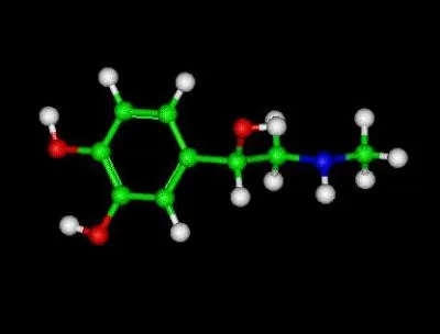 Quel neurotransmetteur joue le rle de starter, en particulier chez les personnes atteintes de bipolarit ?