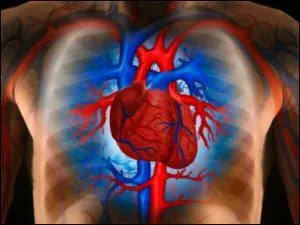 Si votre rythme cardiaque est trop bas, vous souffrez de ...