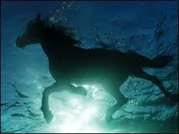 Un cheval sait-il nager sans n'avoir jamais appris ?