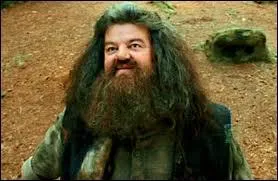 Hagrid a dj eu un dragon.