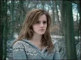 Hermione est amoureuse de Ron.