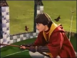 Il occupe le poste d'attrapeur.