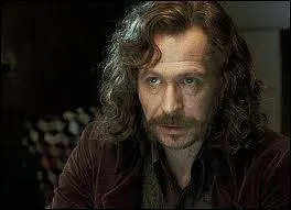 Sirius Black est le parrain de Harry.
