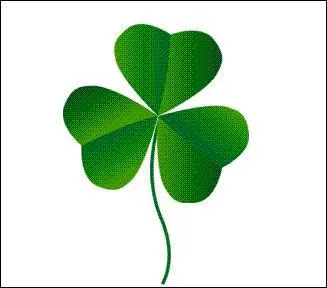 Le trfle est associ  Saint Patrick qui vanglisa ... au Moyen Age. On dit qu'il utilisait le trfle  trois feuilles pour illustrer la sainte Trinit.