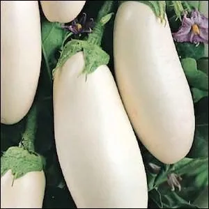 Comment la partie consomme se prsente-t-elle ?