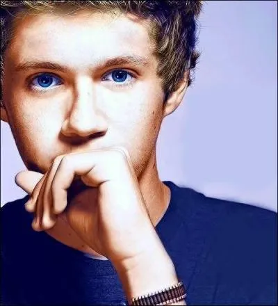 Quelle est la date de naissance de Niall Horan ?