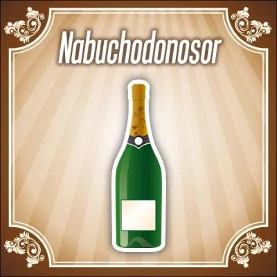 Le  Nabuchodonosor  est gal  20 bouteilles :