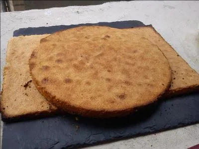 Ce biscuit qui est une gnoise porte le nom d'une toile de matre expose au Louvre :