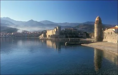 En compagnie de quel autre peintre sjourna-t-il en 1905  Collioure ?