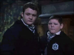 Comment s'appelle les 2 compres de Malefoy ?