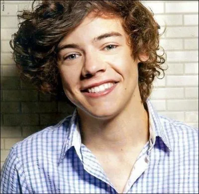 Quelle est la couleur prfre de Harry Styles ?