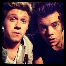 Quelle activit Harry Styles et Niall Horan ont-ils souvent faite en t 2013 ?