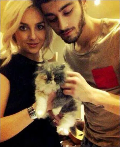 Quel est cet animal que Zayn Malik et Perrie Edwards ont dans les bras ?