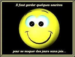 Que signifie l'expression :   Prendre son courage  deux mains   ?