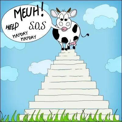 Pourquoi la viande de buf est-elle bodybuildée ? Au lieu d'être tendre et goûteuse, elle est devenue grasse et molle.