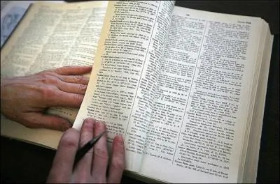  quelle date le mot  strilet  se retrouva dans le dictionnaire Le Petit Larousse illustr ?