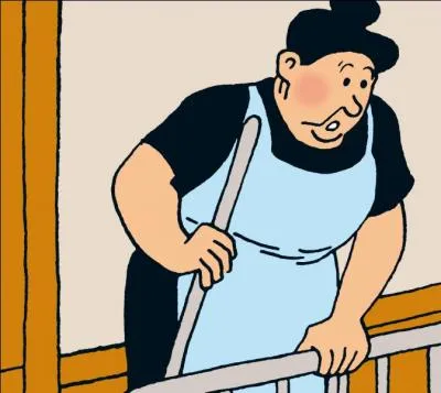 Madame Ernestine est la concierge de l'immeuble du professeur Euclide. Dans quel album la voit-on furtivement ?