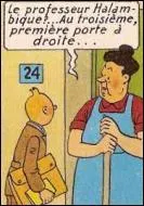 Dans quel album apparat madame Pirotte, la concierge de l'immeuble situ au 24 rue du Vol--voile o habite le professeur Halambique ?