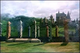 Quel rle a occup Charlie Weasley dans l'quipe de Quidditch de Gryffondor ?