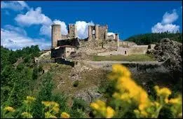 Dans quelle commune peut-on admirer le Chteau de Rochebaron ?