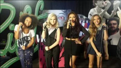 Quelles sont leurs couleurs prfres ? 