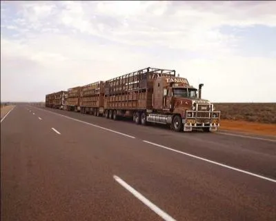 La Stuart Highway traverse ... du Sud au Nord, d'Adelade  Darwin sur une longueur de prs de 3000 km.