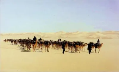 Mme si les camions remplacent aujourd'hui de plus en plus les dromadaires le trafic annuel des caravanes reste important sur la route du sel au Niger. Ces caravanes traversent le dsert du ...