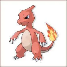 Quel est ce Pokmon ?