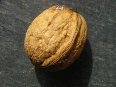 Dans l'eau claire, une noix :