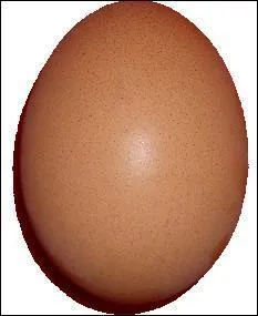 Dans l'eau claire, un uf frais :