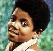 Pourquoi Michael a-t-il chang de couleur de peau ?