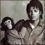 Comment s'appelle le chimpanz de Michael ?