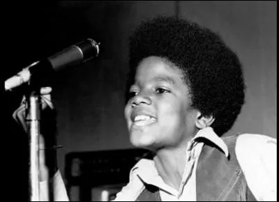 Comment Michael a-t-il commenc sa carrire ?