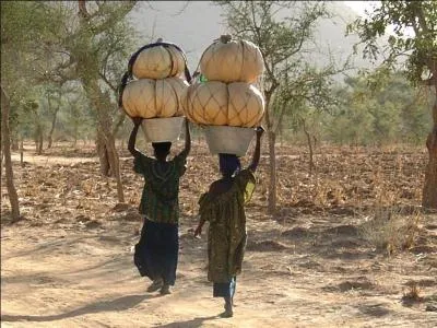 Quelle caractristique du peuple Dogon, du Mali, fascine depuis longtemps les ethnologues ?