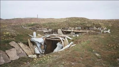 Comment a-t-on appel la priode de l'histoire, o les Inuits chassaient intensivement la baleine ?