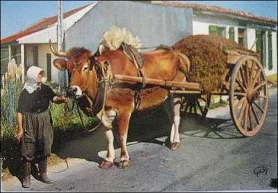 En voici un autre qui travaille :