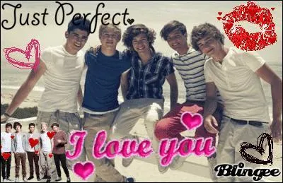 ES-tu directioner for ever ?