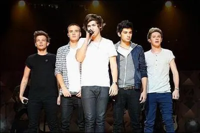 Quand est le concert des 1D au stade de France ?