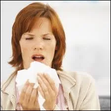 Dans quel Etat des Etats-Unis est situe Ashville, ville o il est interdit d'ternuer dans la rue ?