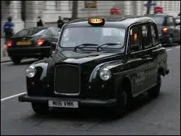 A part les chiens enrags, qu'est-ce que les taxis  Londres n'ont pas le droit de transporter avec eux ?
