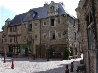La Cit Plantagent qui arbore maisons  pans de bois et fortifications est le coeur historique de cette ville.