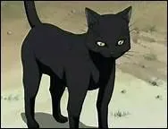 Comment s'appelle ce chat ? Il appartient au manga  Bleach  ! (femme qui se transforme en chat)
