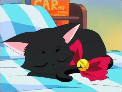 Dans quel pisode Zoey se transforme-t-elle pour la premire fois en chat ?