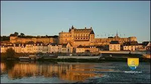 En 1559, Henri II mourut par accident au cours d'un tournoi. En 1498  Amboise, Charles VIII tait lui aussi mort btement 