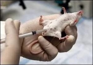 Claude Bernard est un mdecin et physiologiste franais qui eut droit  des obsques nationales. Il est...