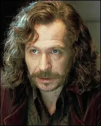 Sirius est le parrain de Harry.